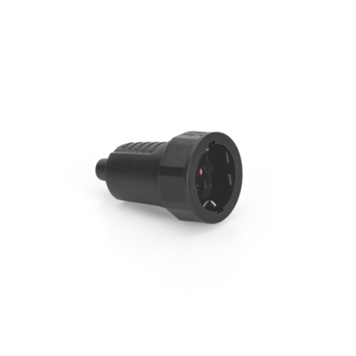 Ficha Fêmea de Borrach...